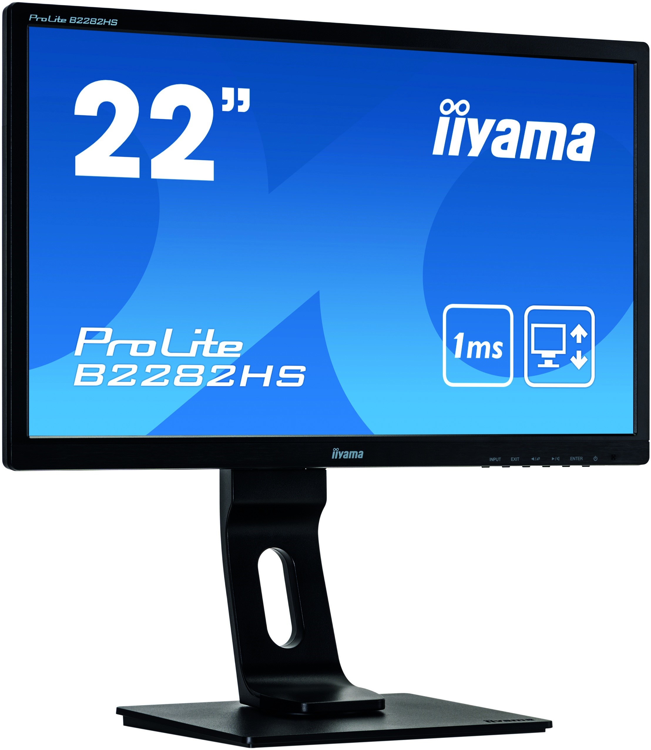 IIYAMA ProLite B2282HS-B5 3