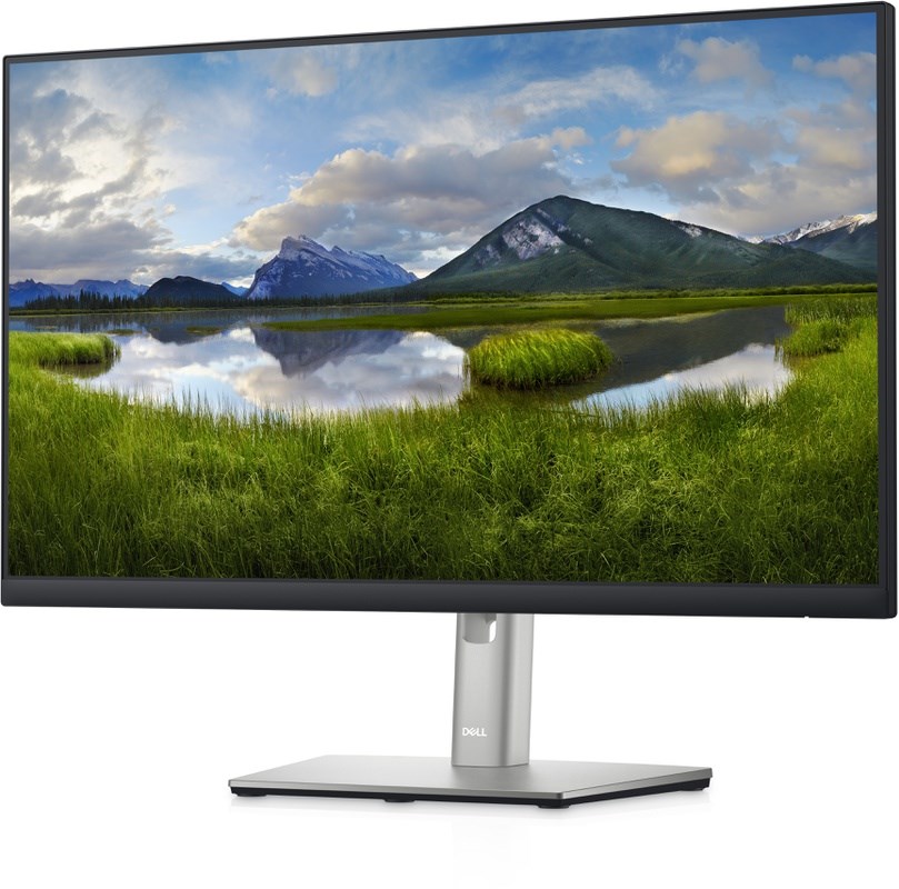 DELL P2422HE 2