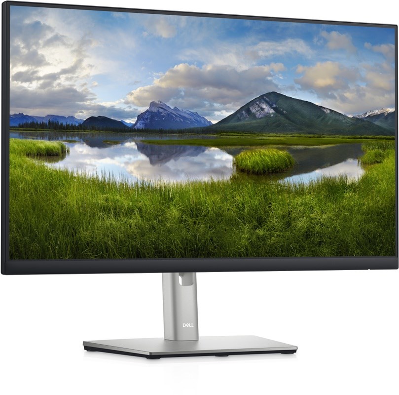 DELL P2422HE 3