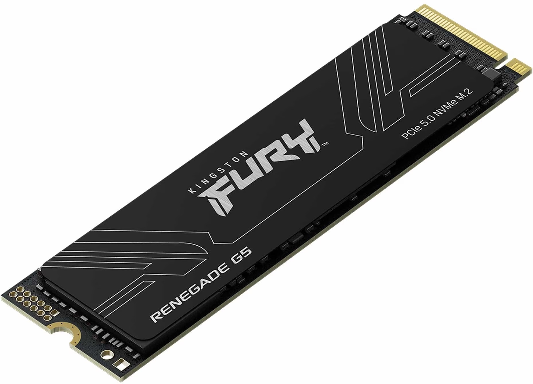 Kingston Fury Renegade G5 1TB