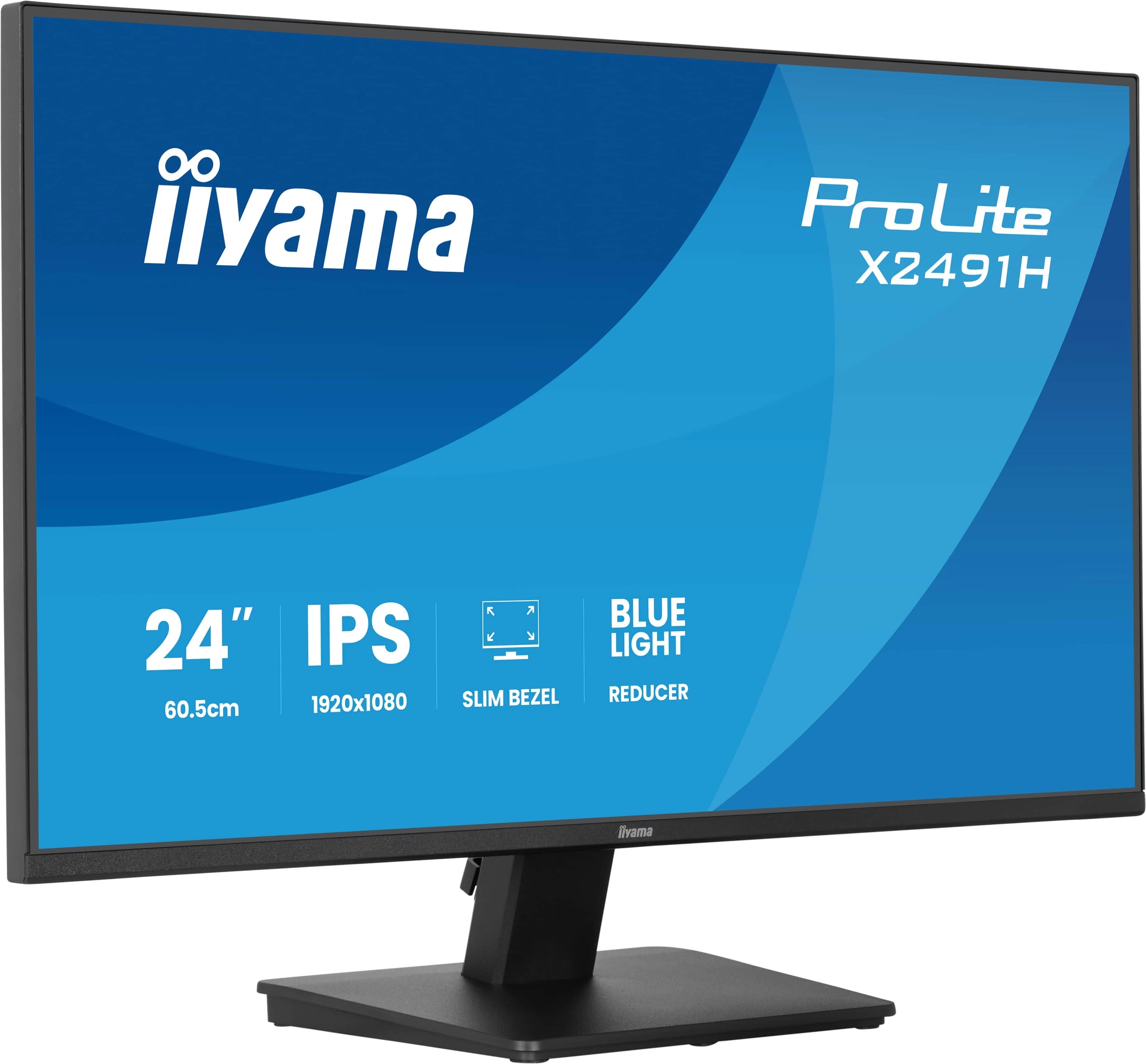 Iiyama Prolite X2491H-B1 4