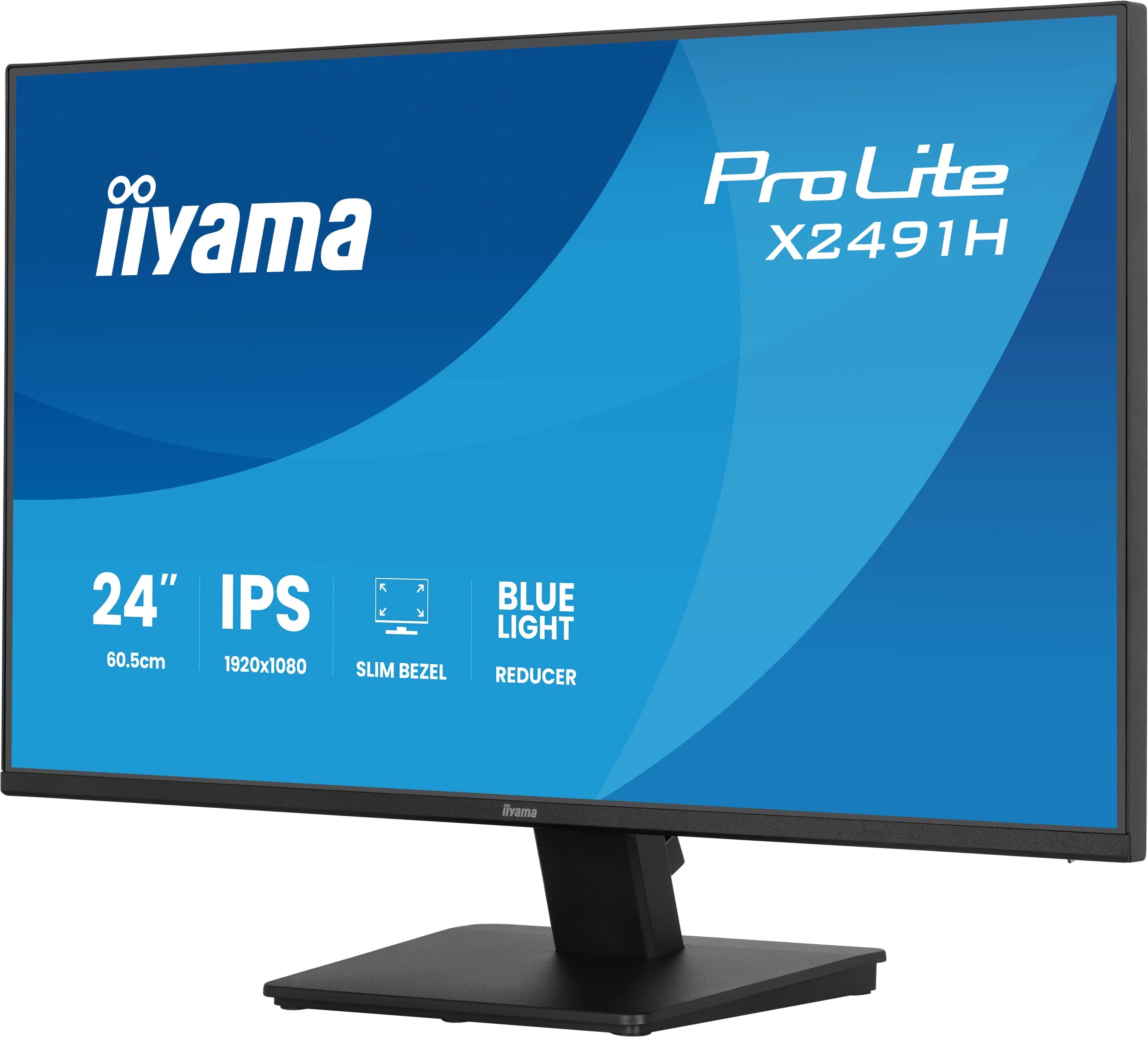 Iiyama ProLite XB2491H-B1 Zwart 5
